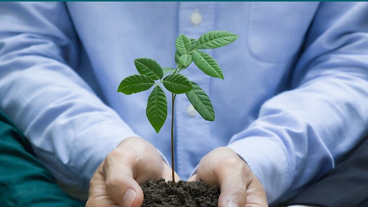 Zdjęcie mężczyzny w koszuli trzymającego w dłoniach zieloną roślinkę