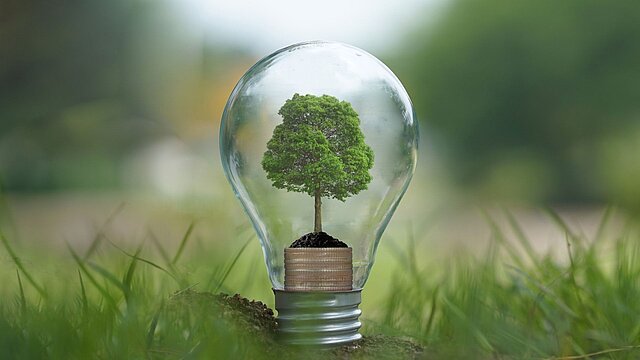 Grafika przedstawiająca żarówkę z drzewem zamiast żarnika na tle trawy