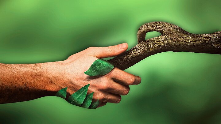 Grafika przedstawiająca dłoś w uścisku z gałęzią